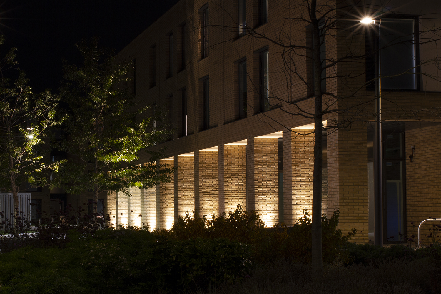 student accomodation